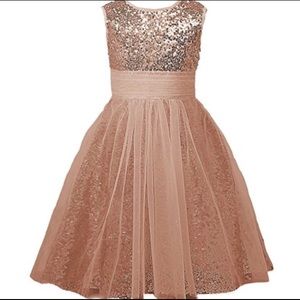 Adorable blush sequin flower girl dress